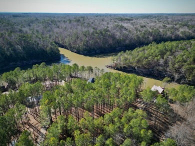 Hidden Deep Within The Forest, This Property Offers Unparalleled - photo 24
