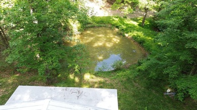 Escape to the serenity of the mountains with this charming cabin - photo 5