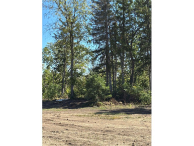 (private lake, pond, creek) Lot For Sale in Johnston Iowa