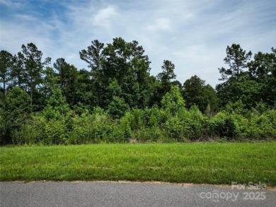 Lake Acreage For Sale in Granite Falls, North Carolina