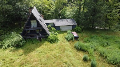 (private lake, pond, creek) Home Sale Pending in East Branch New York