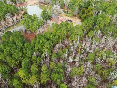 Rare opportunity to own 70+ acres in beautiful Sterrett - photo 11