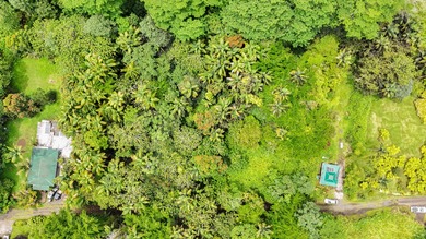 Lot for Sale - Pahoa Japanese Camp Rd Don't miss this - photo 1