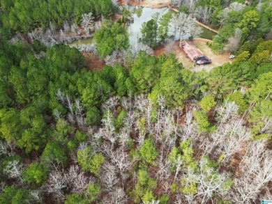 Rare opportunity to own 70+ acres in beautiful Sterrett - photo 12