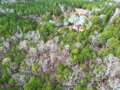 Rare opportunity to own 70+ acres in beautiful Sterrett - photo 13