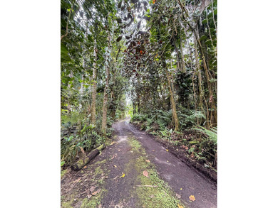 Lot for Sale - Pahoa Japanese Camp Rd Don't miss this - photo 3