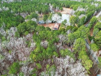 Rare opportunity to own 70+ acres in beautiful Sterrett - photo 14