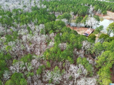 Rare opportunity to own 70+ acres in beautiful Sterrett - photo 15