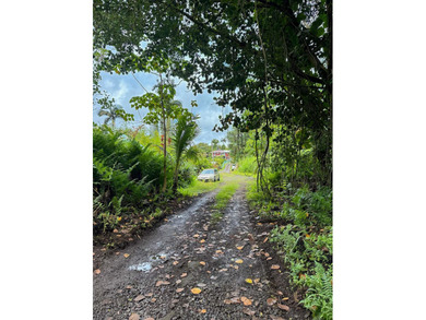 Lot for Sale - Pahoa Japanese Camp Rd Don't miss this - photo 5