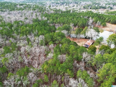Rare opportunity to own 70+ acres in beautiful Sterrett - photo 16