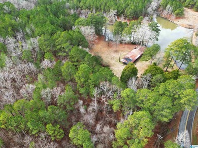 Rare opportunity to own 70+ acres in beautiful Sterrett - photo 17