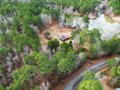 Rare opportunity to own 70+ acres in beautiful Sterrett - photo 18