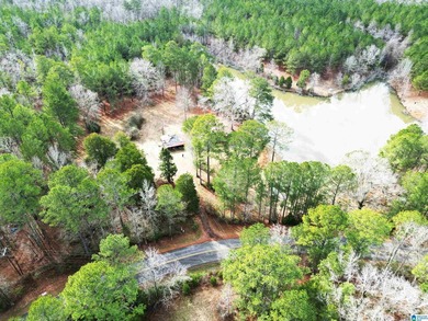 Rare opportunity to own 70+ acres in beautiful Sterrett - photo 19