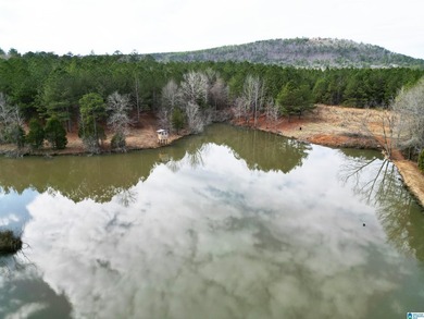 Rare opportunity to own 70+ acres in beautiful Sterrett - photo 20