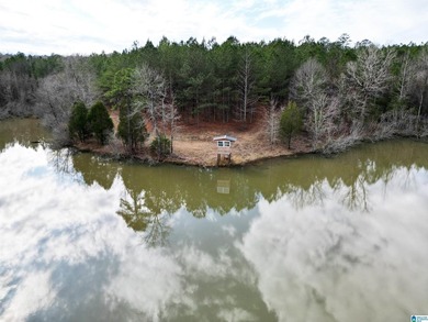 Rare opportunity to own 70+ acres in beautiful Sterrett - photo 21