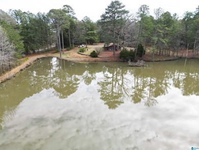 Rare opportunity to own 70+ acres in beautiful Sterrett - photo 22