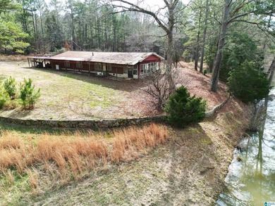 Rare opportunity to own 70+ acres in beautiful Sterrett - photo 23