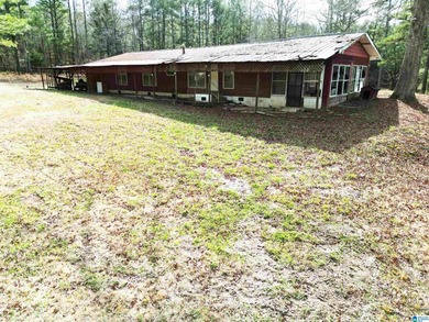 Rare opportunity to own 70+ acres in beautiful Sterrett - photo 24