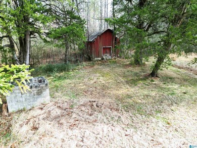 Rare opportunity to own 70+ acres in beautiful Sterrett - photo 25