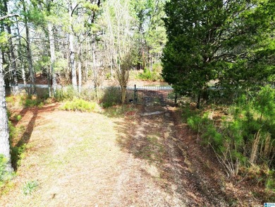 Rare opportunity to own 70+ acres in beautiful Sterrett - photo 26