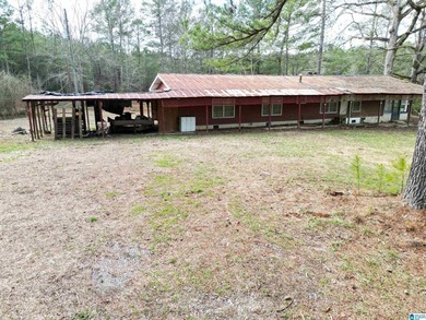 Rare opportunity to own 70+ acres in beautiful Sterrett - photo 27