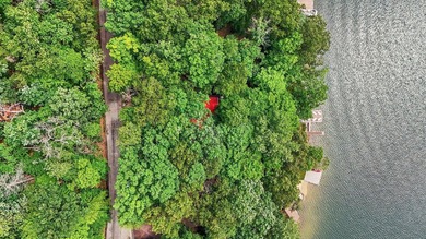 Discover the ultimate lakefront lifestyle on the Lake of Four - photo 38