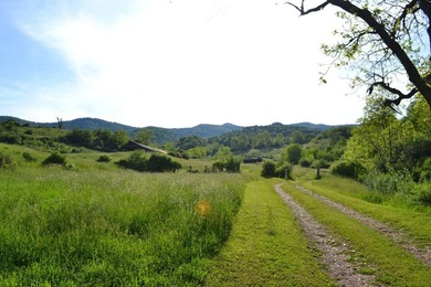 A once-in-a-generation opportunity to own an extraordinary - photo 2