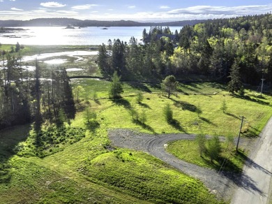Lake Lot For Sale in Trescott Twp, Maine