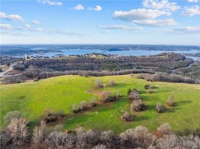 99 +/- acres with stunning views of Table Rock Lake! This - photo 11