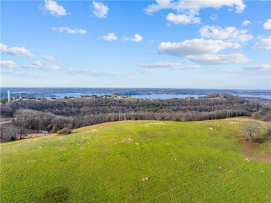 99 +/- acres with stunning views of Table Rock Lake! This - photo 12