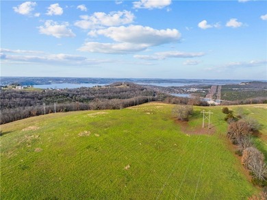 99 +/- acres with stunning views of Table Rock Lake! This - photo 13