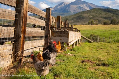 Behold 450 spectacular acres in the shadow of majestic Mt - photo 14