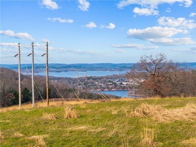 99 +/- acres with stunning views of Table Rock Lake! This - photo 14