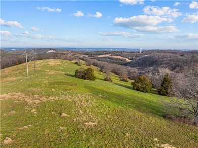 99 +/- acres with stunning views of Table Rock Lake! This - photo 15