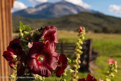 Behold 450 spectacular acres in the shadow of majestic Mt - photo 16