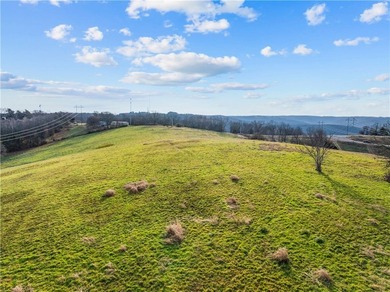 99 +/- acres with stunning views of Table Rock Lake! This - photo 16