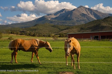 Behold 450 spectacular acres in the shadow of majestic Mt - photo 17