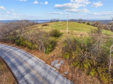 99 +/- acres with stunning views of Table Rock Lake! This - photo 17