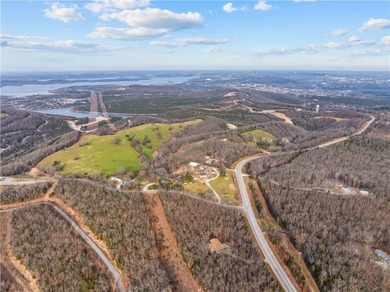 99 +/- acres with stunning views of Table Rock Lake! This - photo 18