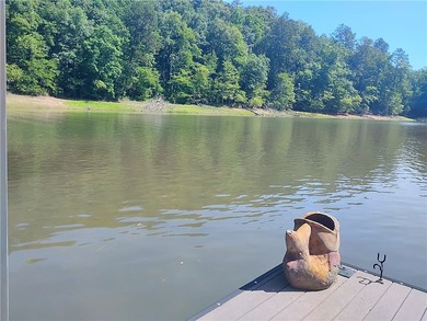 Rare offering! Affordable fully furnished lakefront retreat with - photo 18