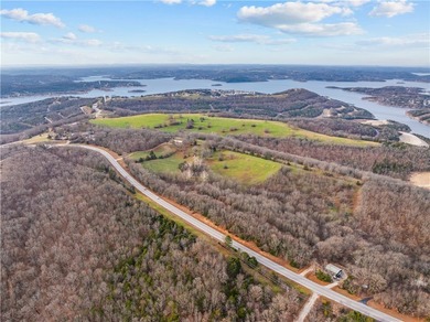 99 +/- acres with stunning views of Table Rock Lake! This - photo 19