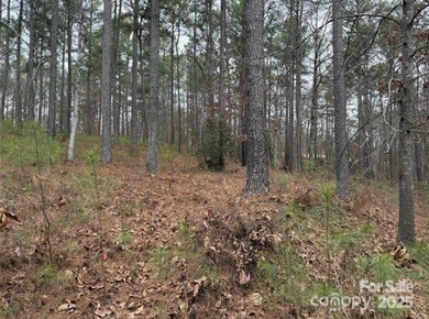 Lake Hickory Lot For Sale in Granite Falls North Carolina