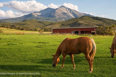 Behold 450 spectacular acres in the shadow of majestic Mt - photo 23