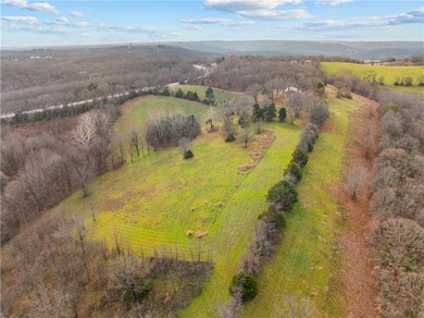 99 +/- acres with stunning views of Table Rock Lake! This - photo 24