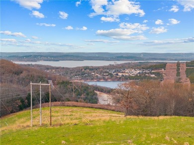 99 +/- acres with stunning views of Table Rock Lake! This - photo 30