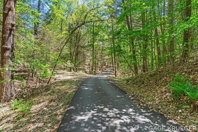 Lake Lot For Sale in Shelby, Michigan