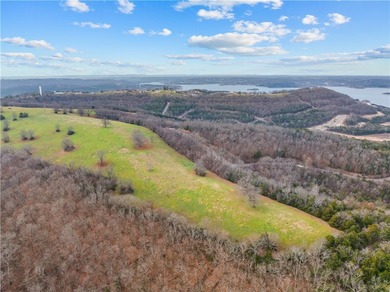 99 +/- acres with stunning views of Table Rock Lake! This - photo 33