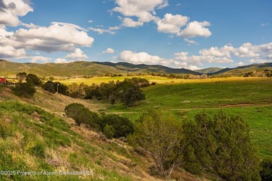 Behold 450 spectacular acres in the shadow of majestic Mt - photo 34