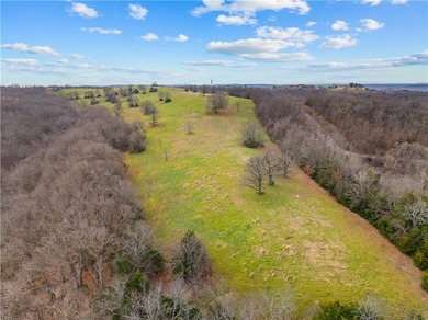 99 +/- acres with stunning views of Table Rock Lake! This - photo 34
