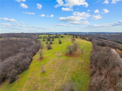 99 +/- acres with stunning views of Table Rock Lake! This - photo 35